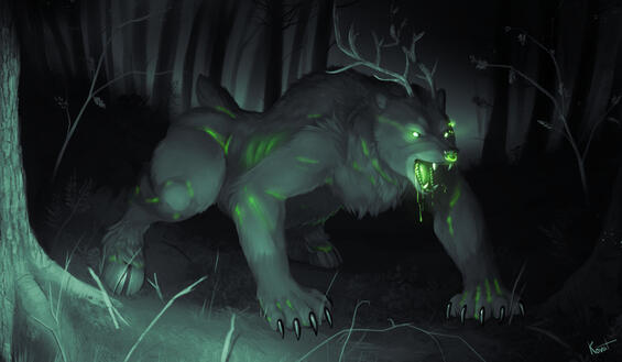 Bear in the woods